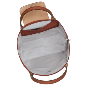 Le Pliage Green M Tote bag Vertical Chestnut
