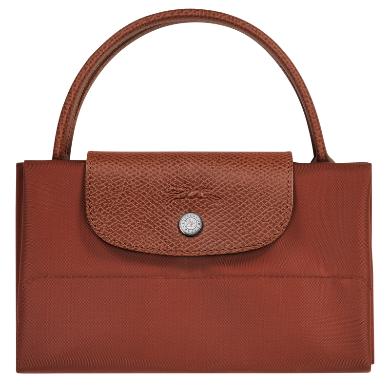 Le Pliage Green M Tote bag Vertical Chestnut