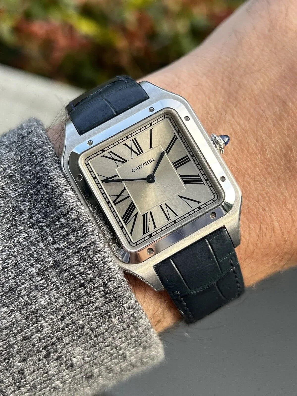 Cartier Santos Watch For Men and Women WSSA0032