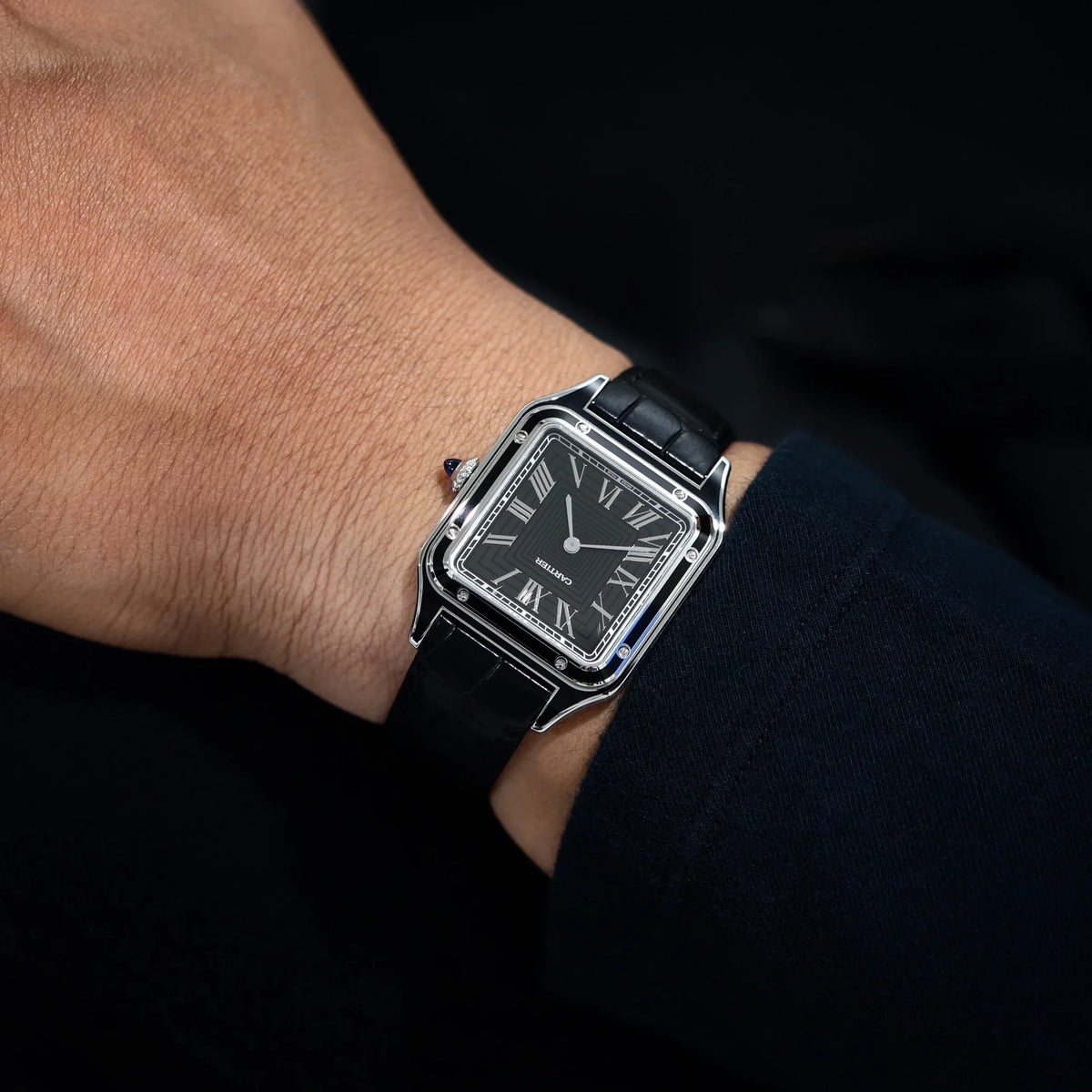 Cartier Santos watch for men and women WSSA0046