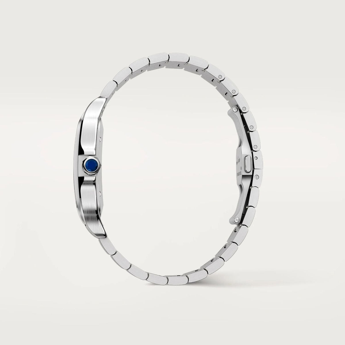 Cartier Santos watch for men WSSA0018