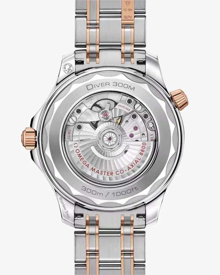 omega-seamaster-diver-300m-42-mm-steel-sedna-gold-on-steel-sedna-gold