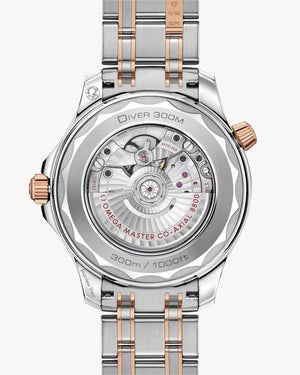 omega-seamaster-diver-300m-42-mm-steel-sedna-gold-on-steel-sedna-gold