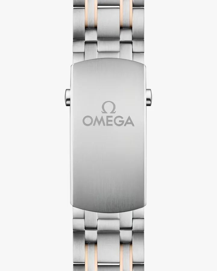 omega-seamaster-diver-300m-42-mm-steel-sedna-gold-on-steel-sedna-gold
