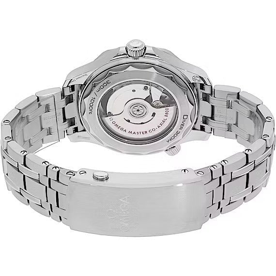 omega-seamaster-diver-300m-42-mm-steel-on-steel
