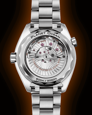 omega-seamaster-planet-ocean-600m-43-5-mm-titanium-on-titanium