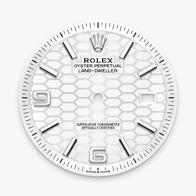Rolex Land-Dweller Watch For Men M127334-0001