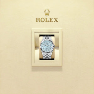 Rolex Land-Dweller Watch For Men M127336-0001