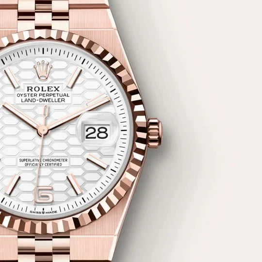 Rolex Land-Dweller Watch For Men M127235-0001