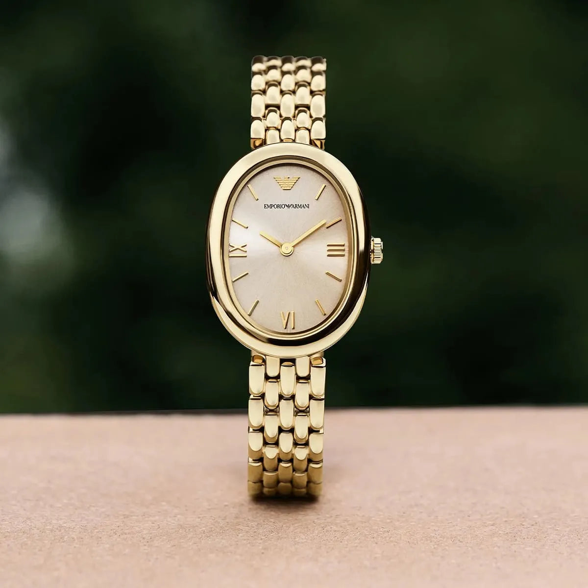 Emporio Armani Watch For Women AR11707