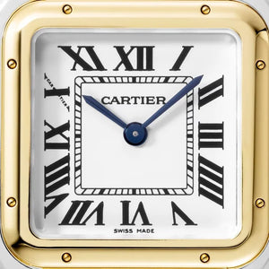 Cartier Watch For Women W2PN0013