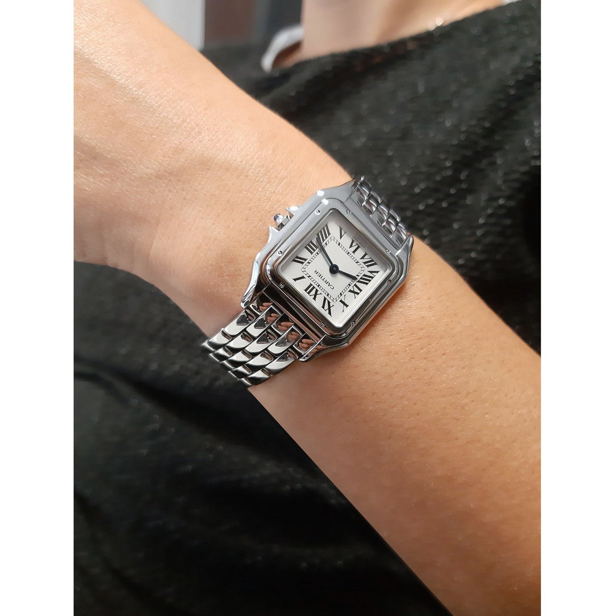 Cartier Watch For Women WSPN0007