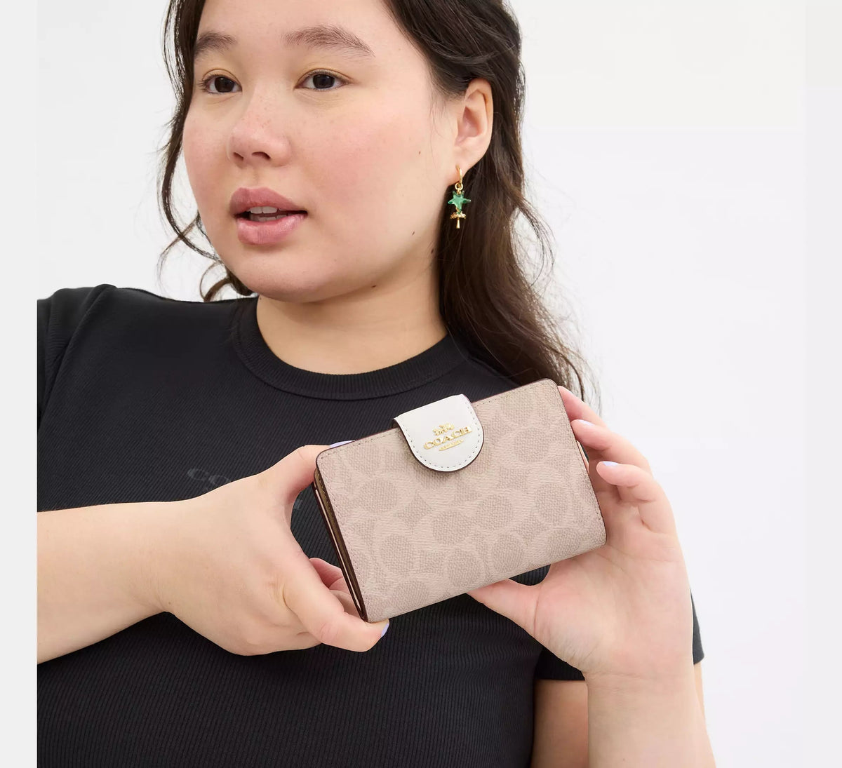 Medium Corner Zip Wallet In Signature Canvas