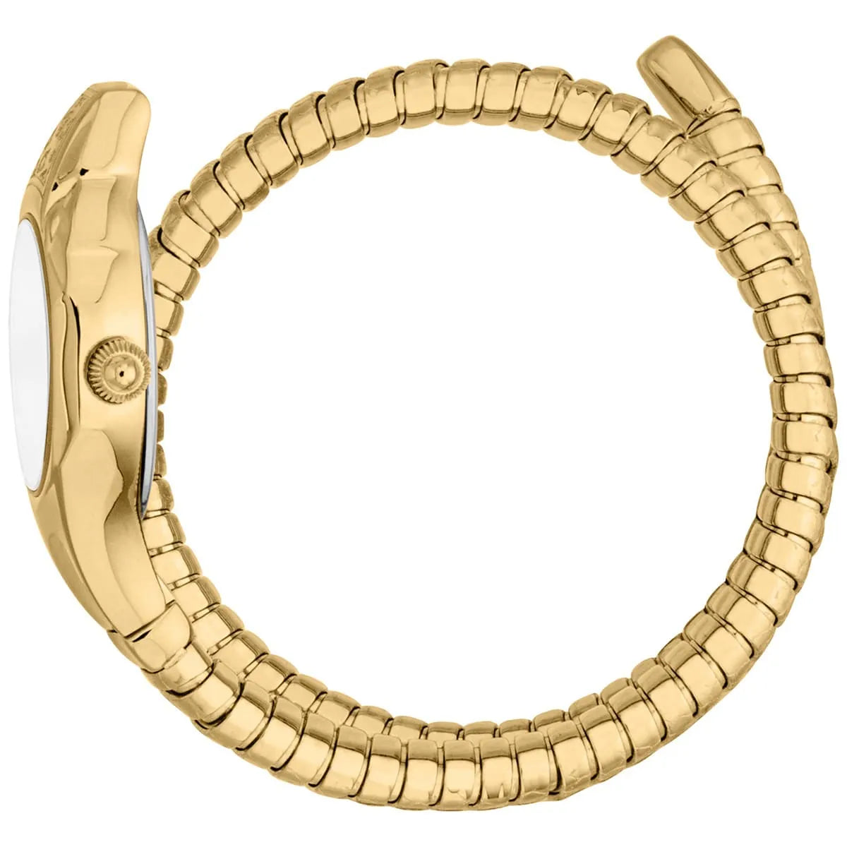 Just Cavalli Watch For Women JC1L354M0025