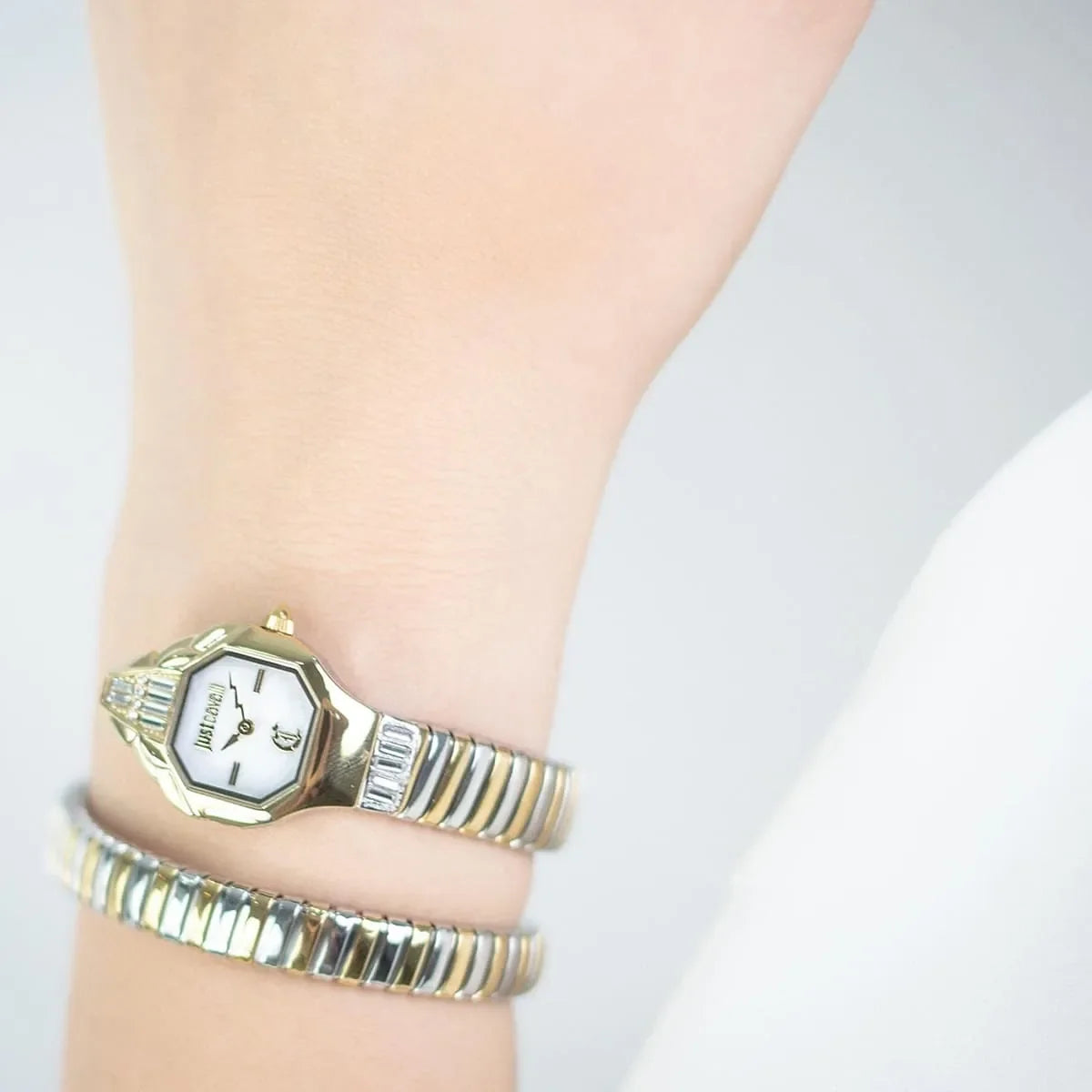 Just Cavalli Watch For Women JC1L326M0065