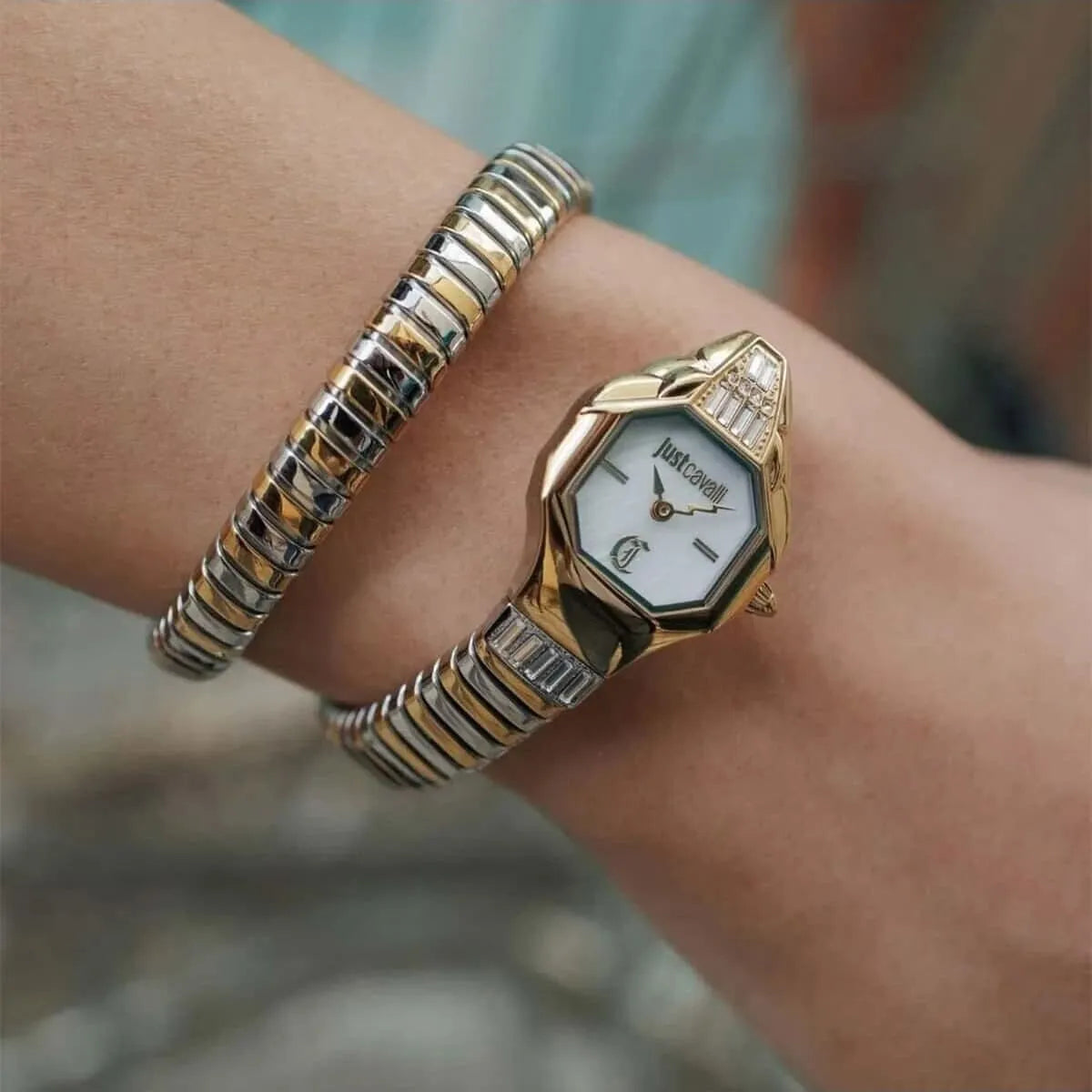 Just Cavalli Watch For Women JC1L326M0055