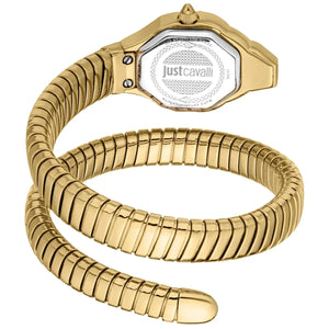 Just Cavalli Watch For Women JC1L326M0035
