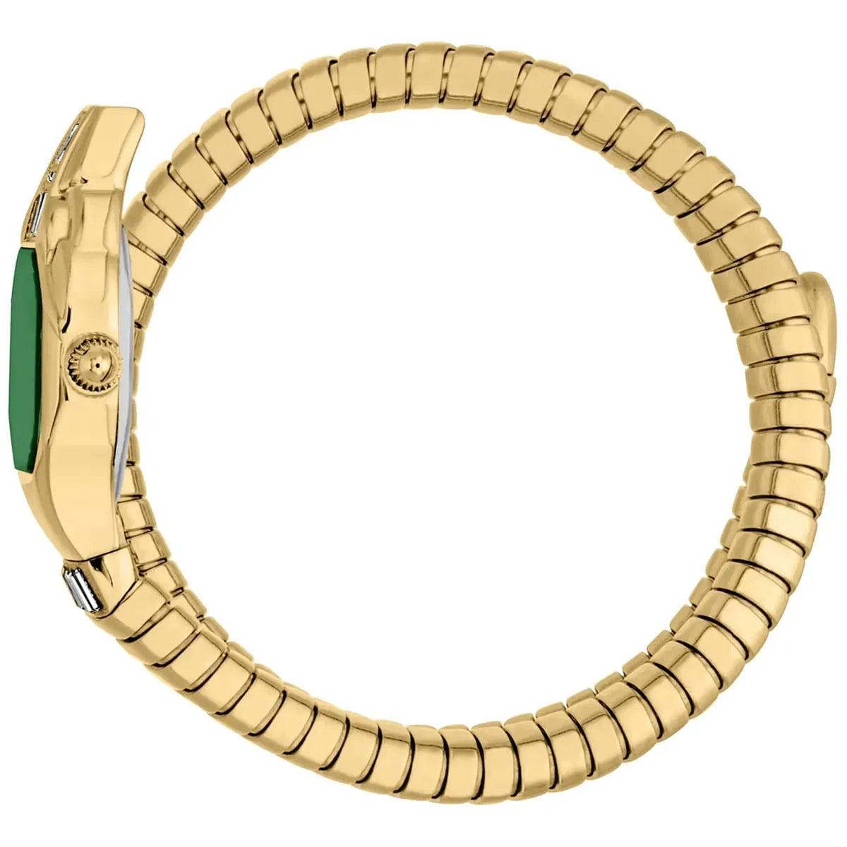 Just Cavalli Watch For Women JC1L326M0035