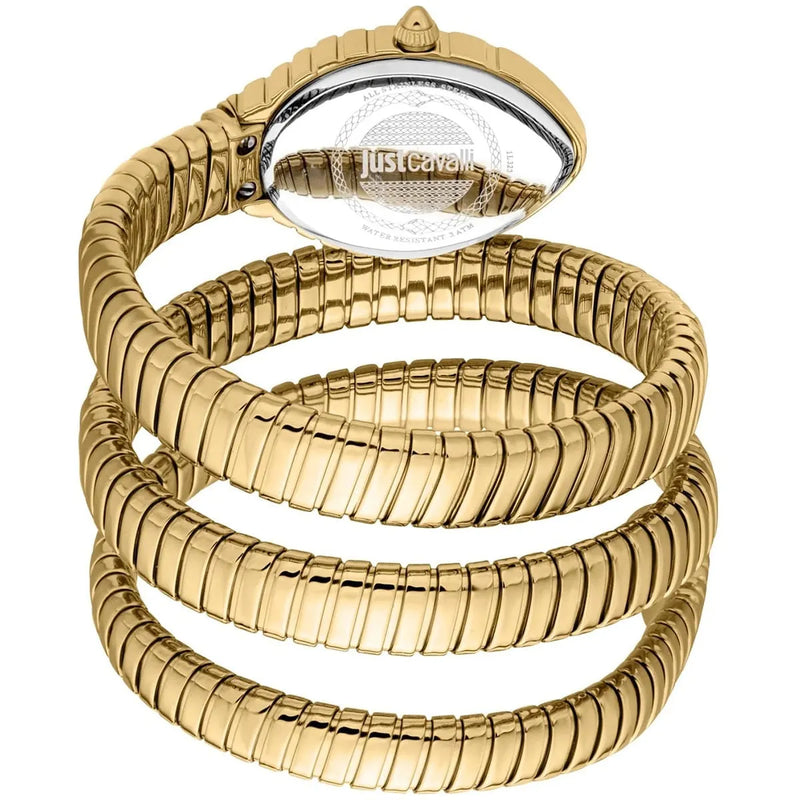 Just Cavalli Watch For Women JC1L323M0035