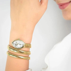 Just Cavalli Watch For Women JC1L323M0025