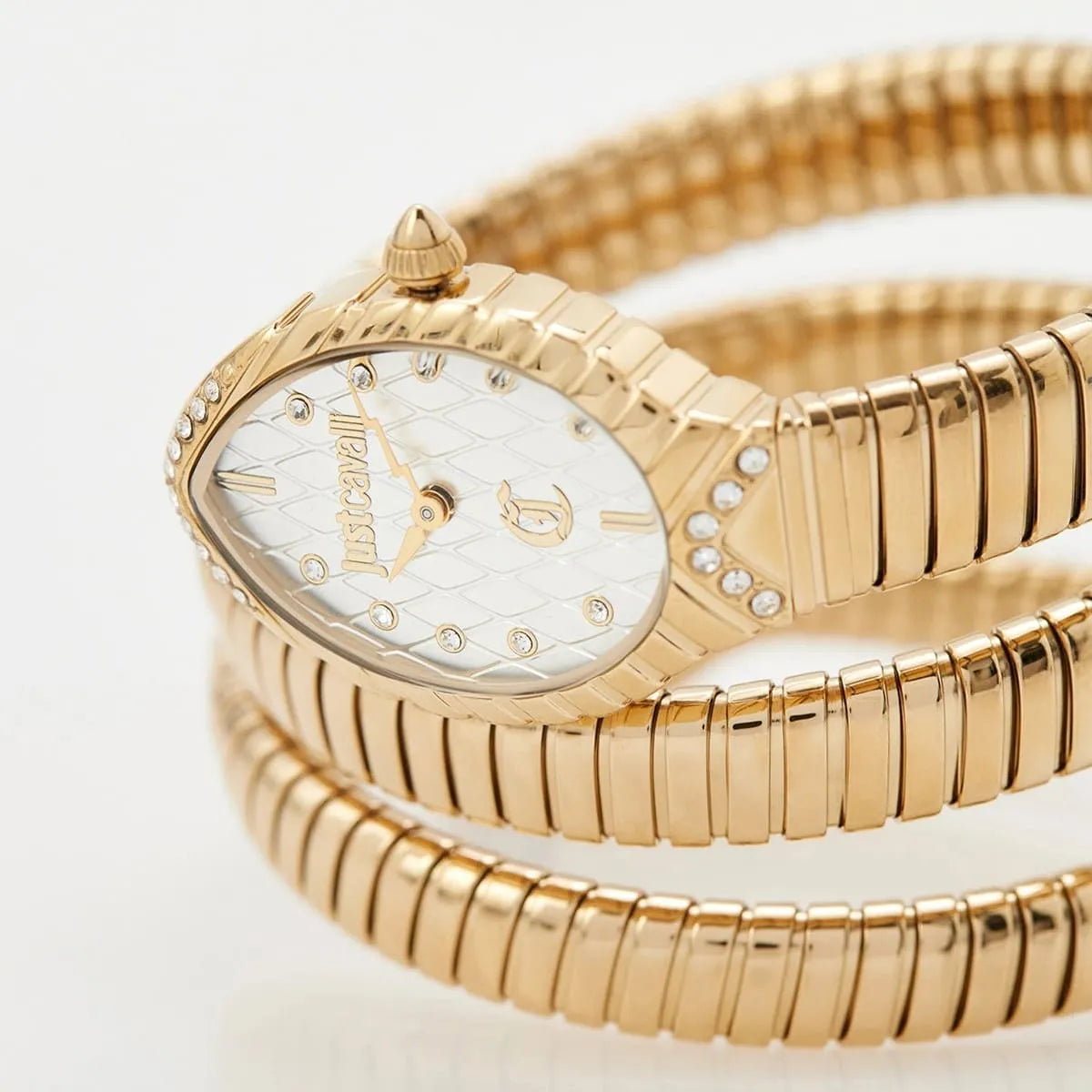 Just Cavalli Watch For Women JC1L323M0025