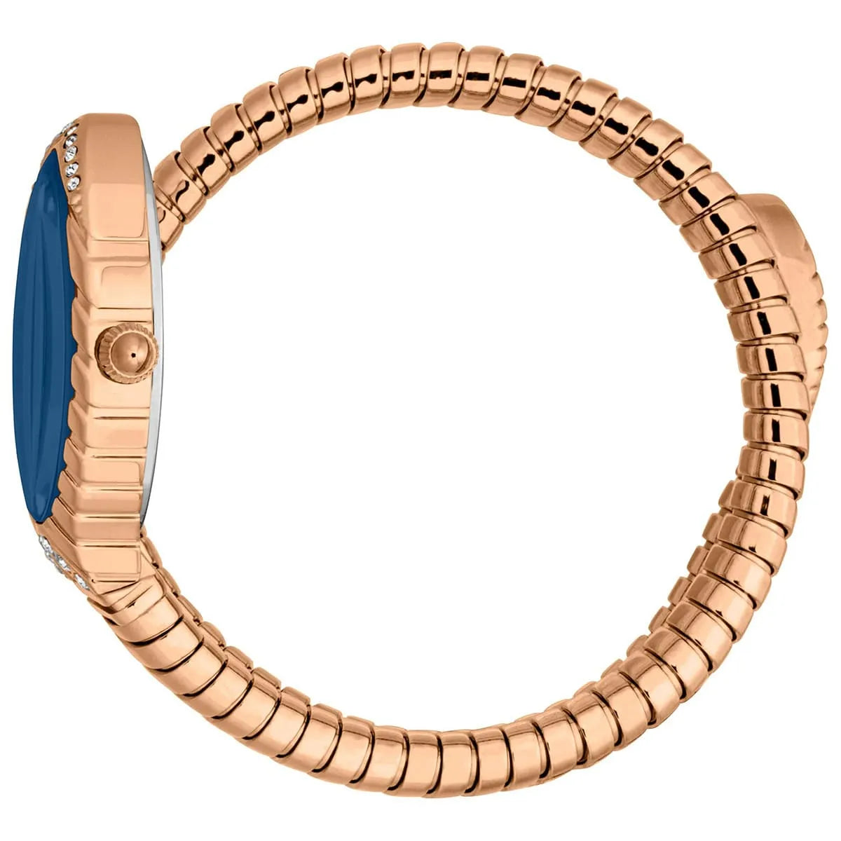 Just Cavalli Watch For Women JC1L322M0045