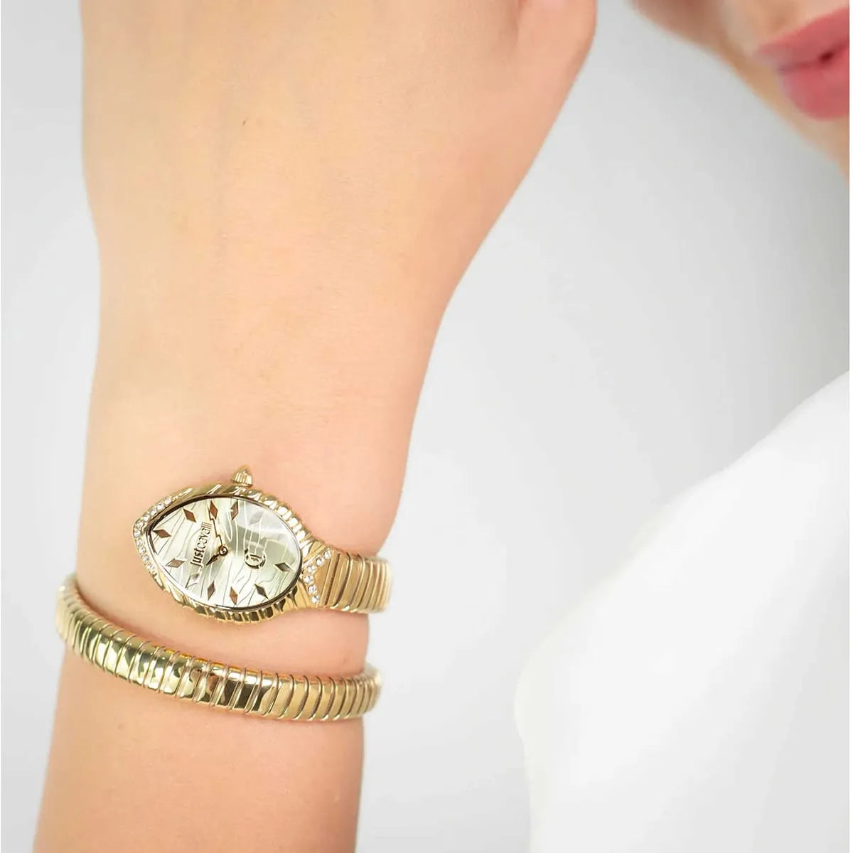 Just Cavalli Watch For Women JC1L322M0025