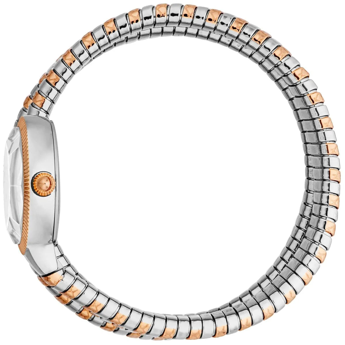 Just Cavalli Watch For Women JC1L269M0065