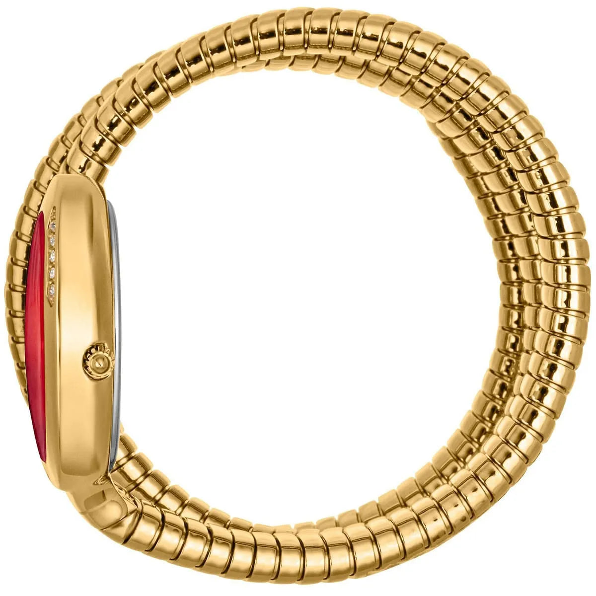 Just Cavalli Watch For Women JC1L228M0045