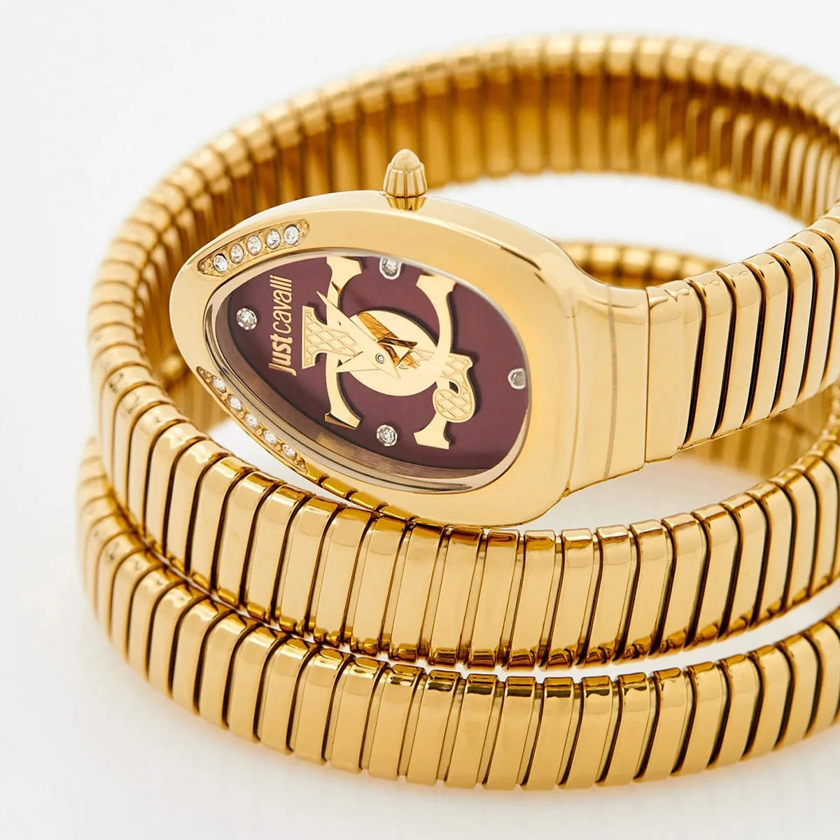 Just Cavalli Watch For Women JC1L228M0045