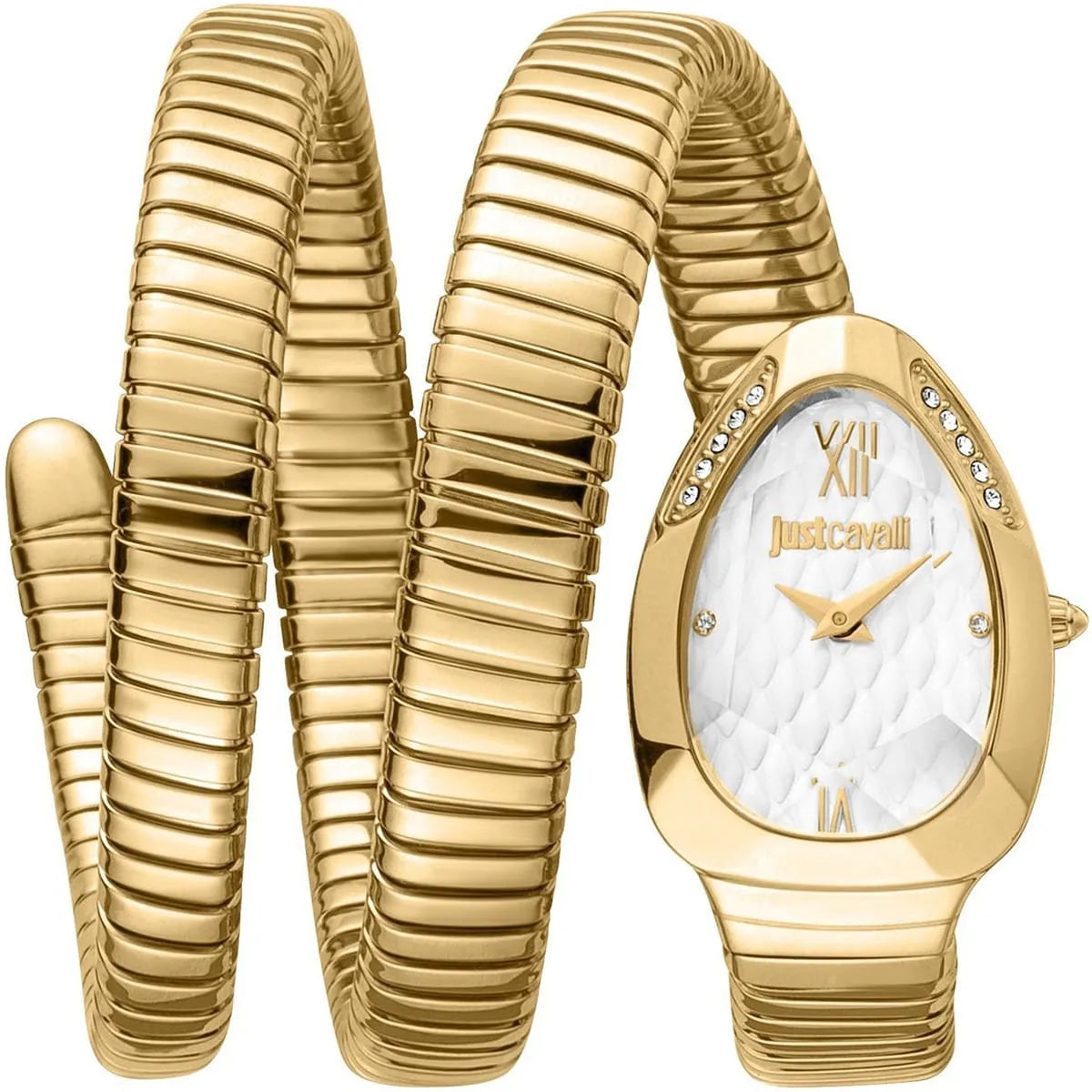 Just Cavalli Watch For Women JC1L224M0035