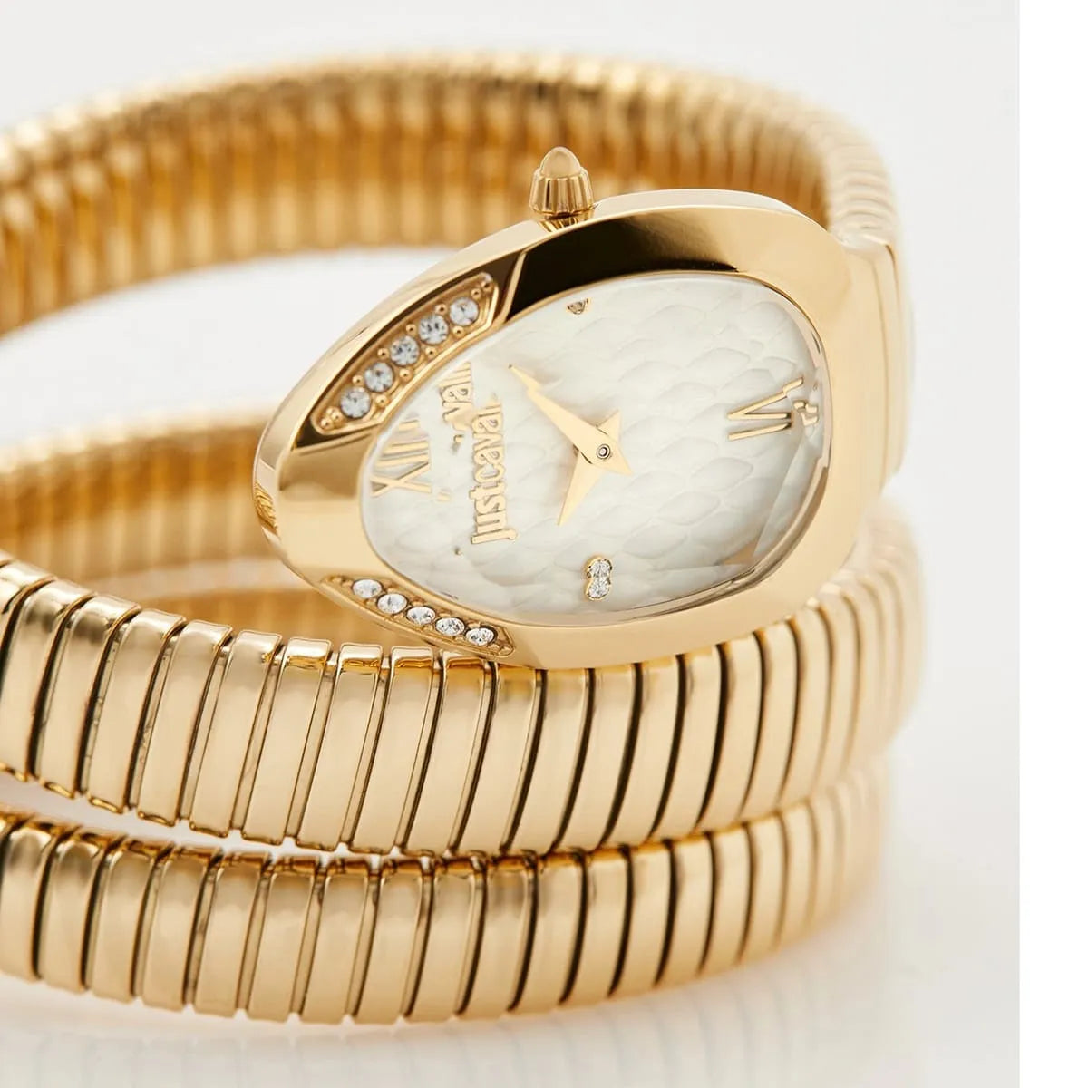 Just Cavalli Watch For Women JC1L224M0035