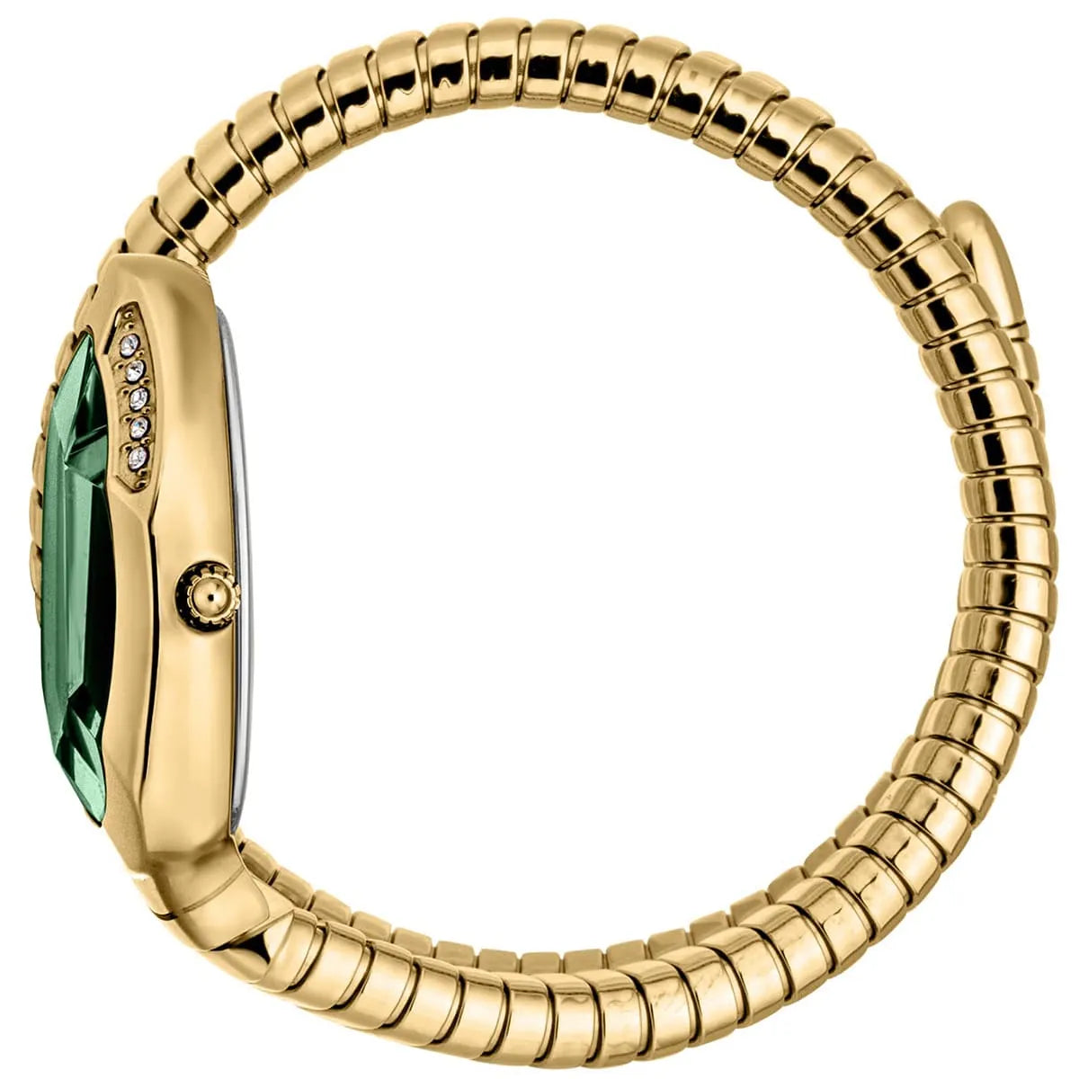Just Cavalli Watch For Women JC1L223M0035