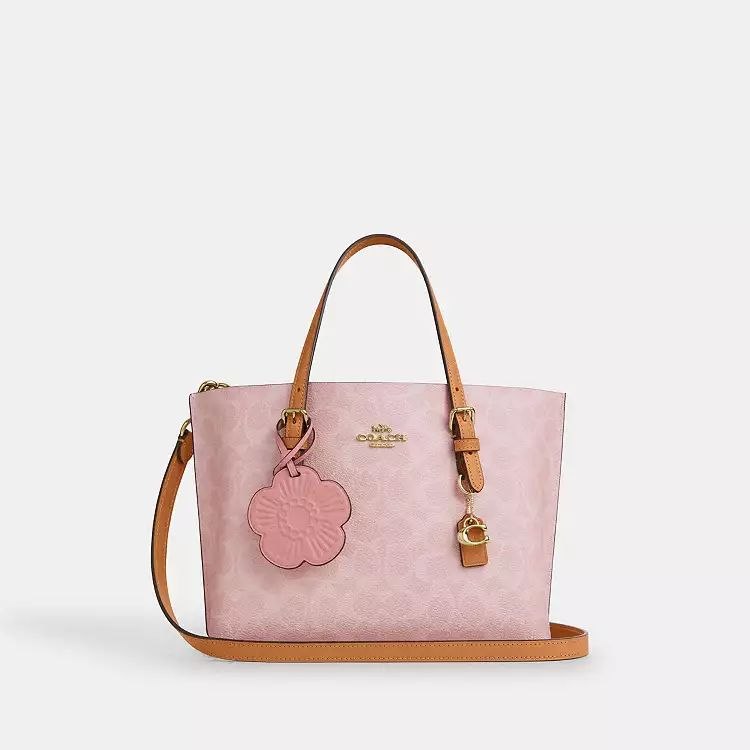 Mollie Tote Bag 25\nIn Signature Canvas With Charm