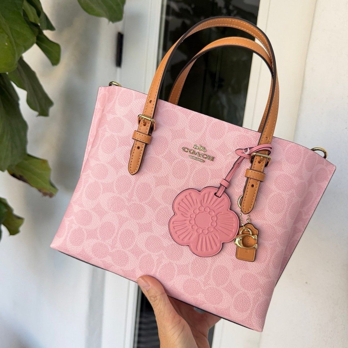 Mollie Tote Bag 25\nIn Signature Canvas With Charm