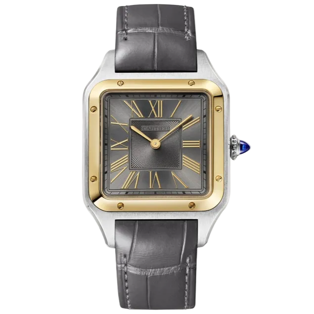 Cartier Santos Dumont Super Clone Swiss Machine  (43.5mm x 31.4mm)