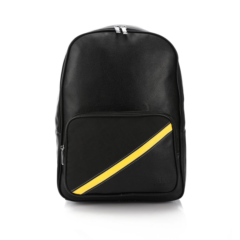 FENDI Back bag