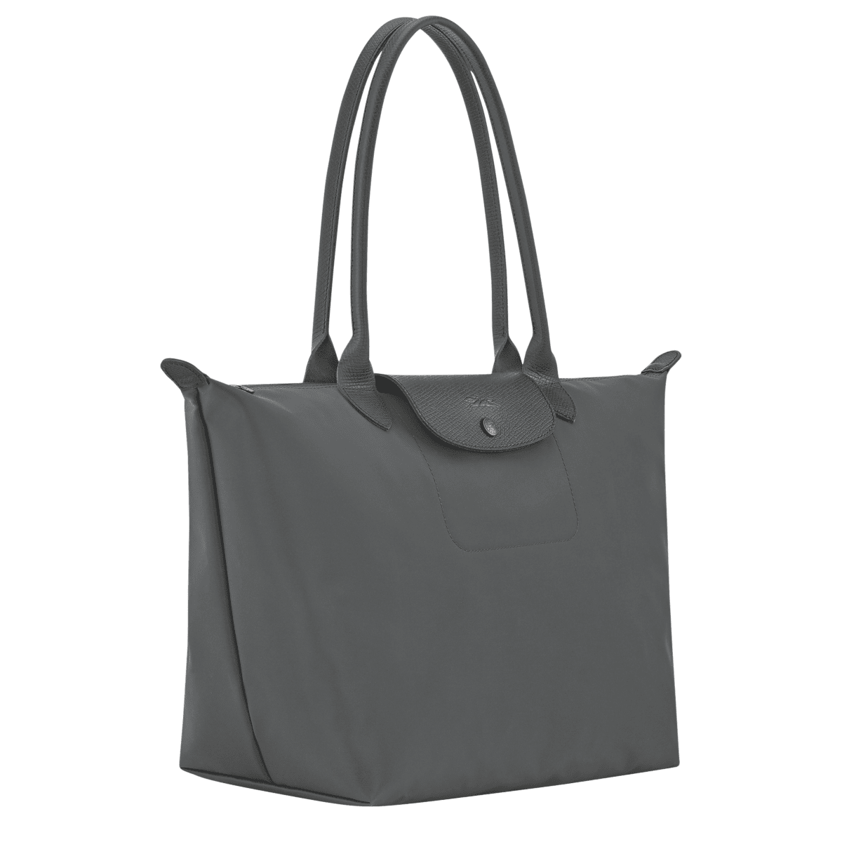 Le Pliage One L Tote bag