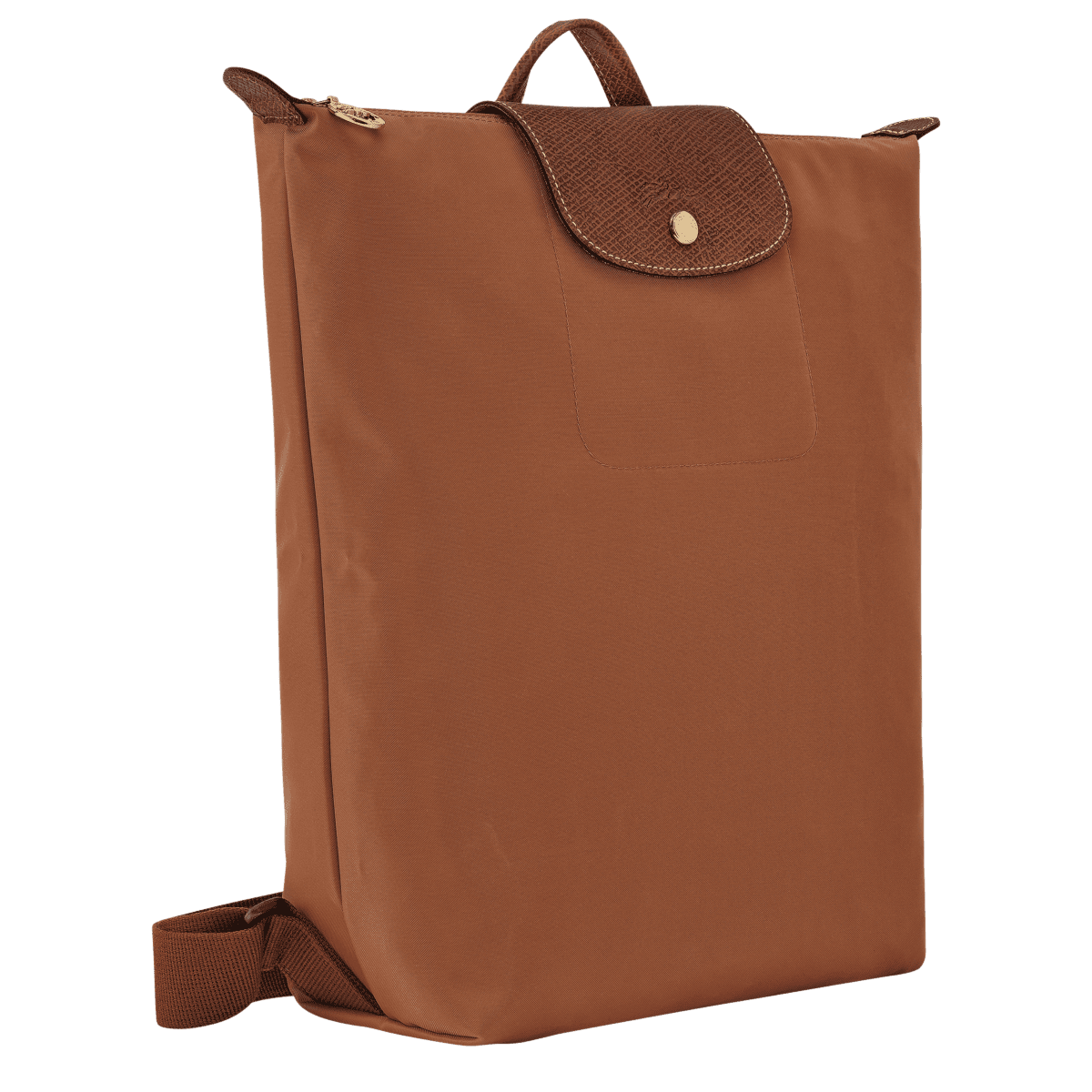 Le Pliage Original M Backpack