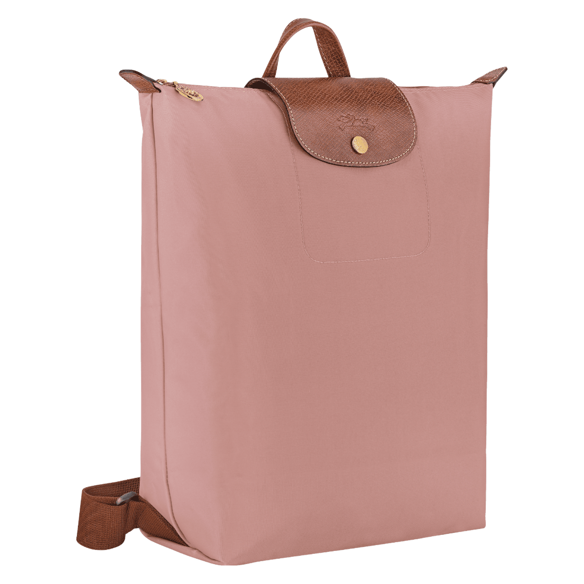 Le Pliage Original M Backpack