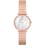 Emporio Armani Watch For Women AR11006