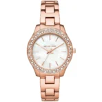 Michael Kors Watch For Women MK4557