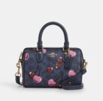 Coach Cross Bag For Women