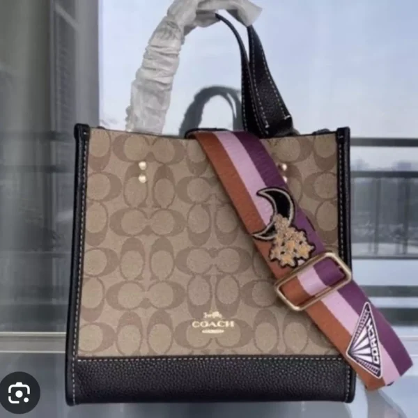 Coach Dempsey Tote 22