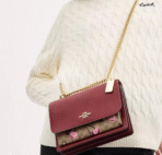 Coach Cross Bag For Women - Image 7
